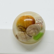 Seashells in Resin Shell Brooch Pin