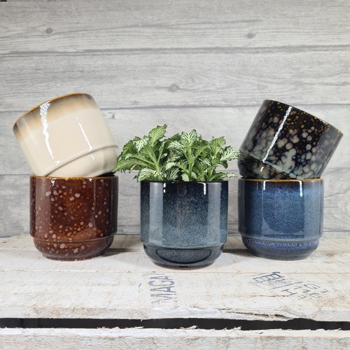 Dawn gloss ceramic planter - dawn,