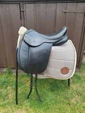 16" Dressage W Black