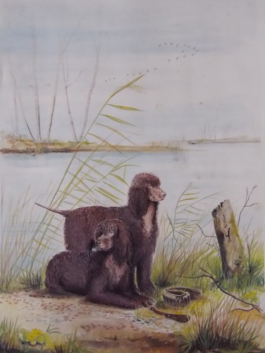 Irish water spaniels vintage - irish,