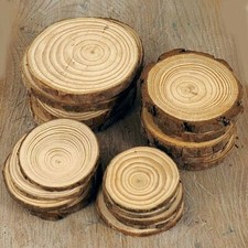 Natural Wood Log Slices