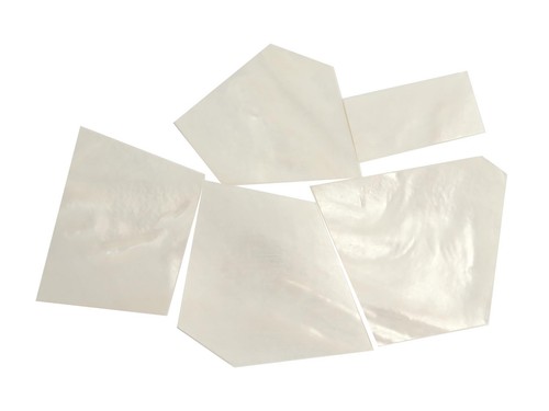 Incudo white mother pearl - white, of