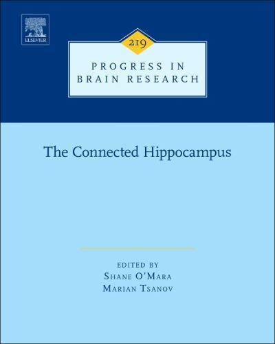 Connected hippocampus - connected,
