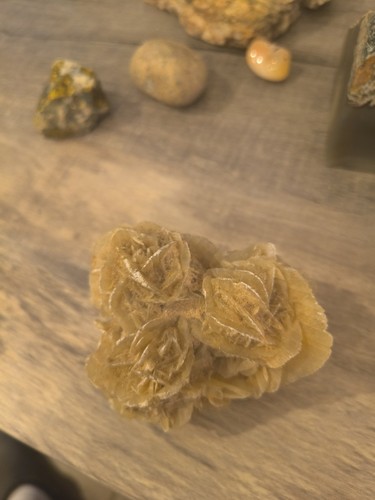 Delicate desert rose - desert,