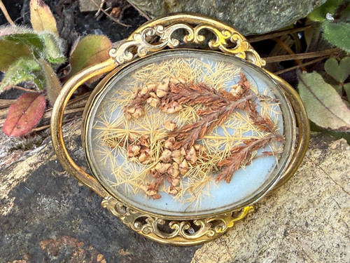 Victorian dried flowers - victorian,