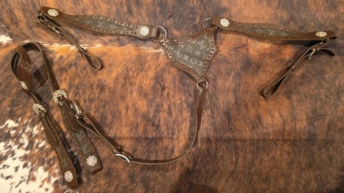 Western headstall breastcollar - headstall,