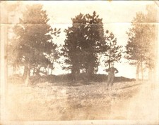 Sepia Photograph The Tramper