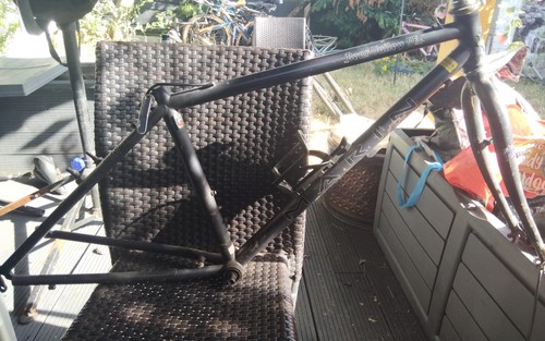 Marin bear valley frameset - valley,