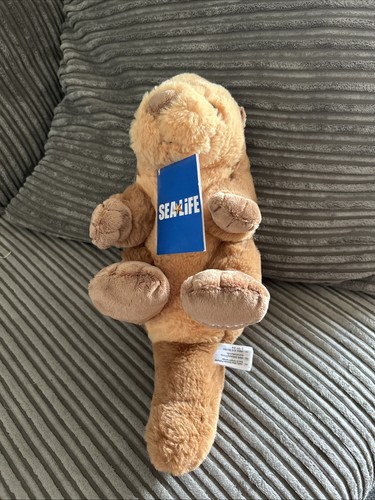 Sea life plush - life,