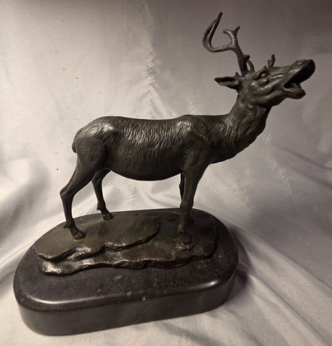 Roaring bugling elk - bugling, buck