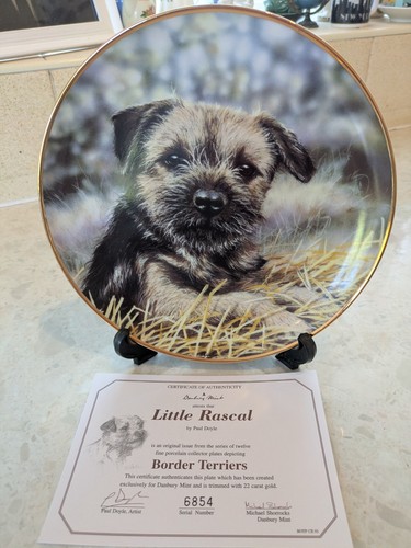 Border terrier bone china - bone,