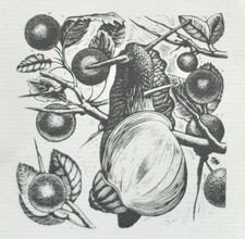 SNAIL & SLOES, BLACKTHORN - George Tute, British Artist - 