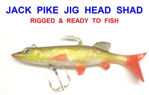 Jack pike jig head - 1, shad