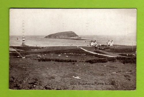 017806 postcard beaumaris - ,