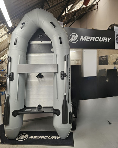 Mercury 300 - mercury, 300(3m)