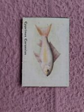 SPRATTS - FISH SERIES K SIZE # CYPRINUS CARASSIUS  cnr crease o/w clean