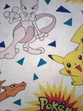 anime pokemon charizard twin