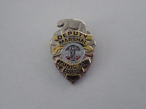Pin badge crest state - badge,