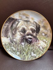 Paul Doyle Border Terrier Print Plate Danbury Mint