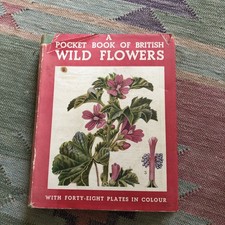 A Pocket-Book of British Wild Flowers (Charles A. Hall - 1944) Hb