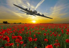 B-17 Flying Fortress Sally B  canvas print various sizes free delivery 
