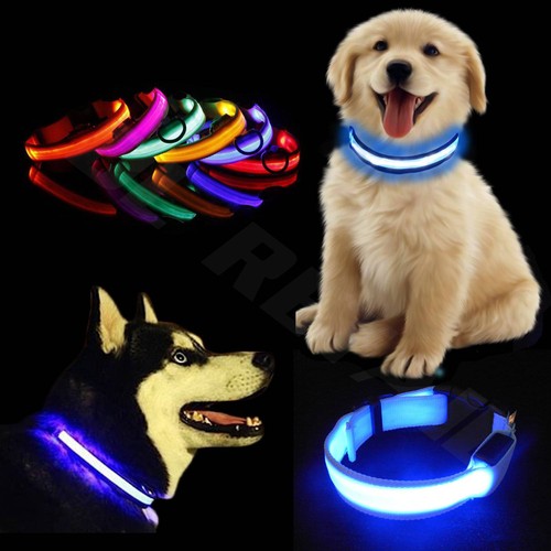 Light led dog collar - up,
