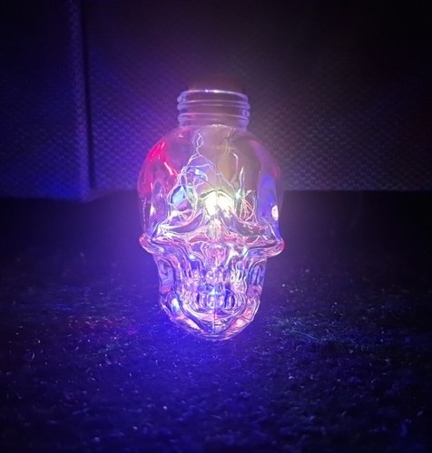 Crystal skull head empty - skull,