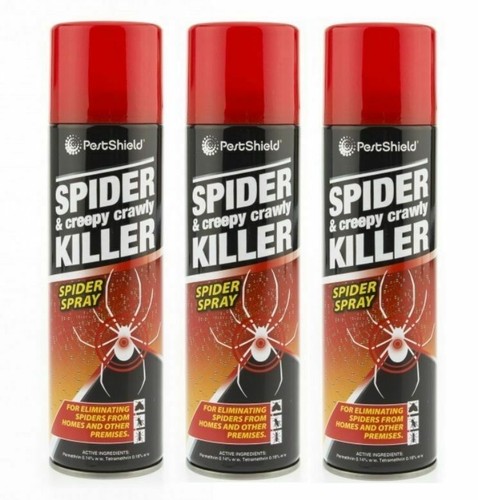 Pestshield spider and - 3,