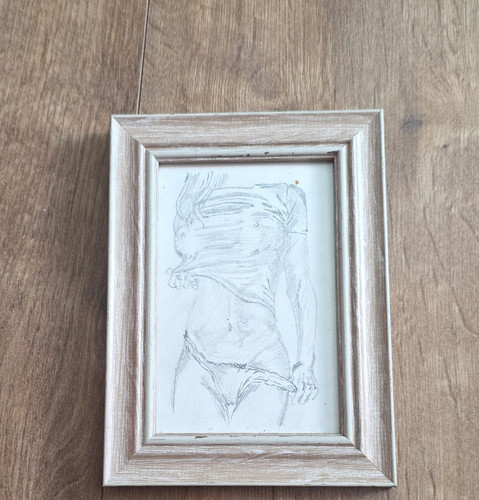 Framed pencil drawing - framed,