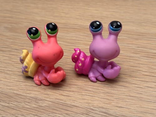 Lps hermit crabs - hermit,