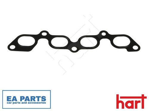 Gasket exhaust manifold for - manifold,