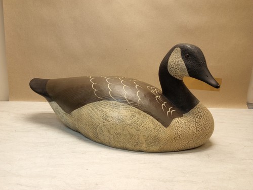 Ducks unlimited special - ducks,
