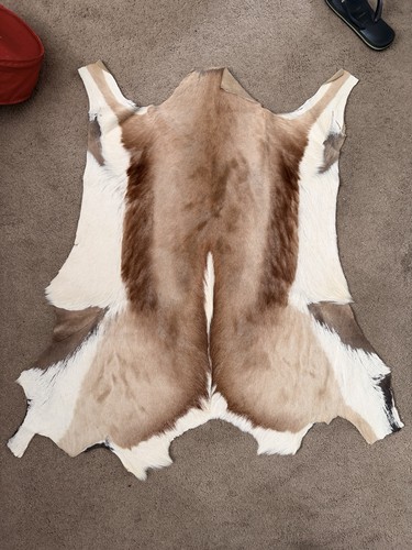 Real deer fur rug - deer,