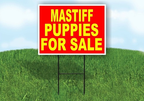 Mastiff puppies for sale - puppies,