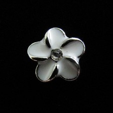 Charms for Glass Living Memory