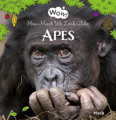 Wow apes how - wow!, apes.