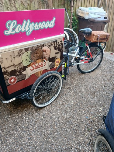 1960s paisley ice - ice, cream