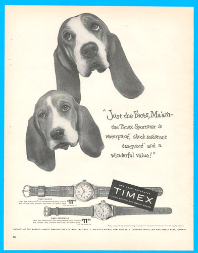 Timex watch marlin - timex, sportster