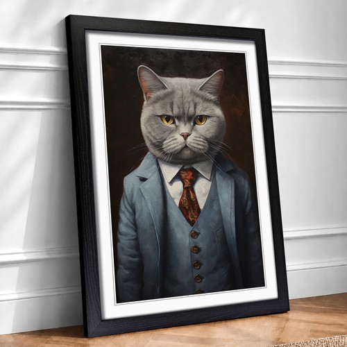 British shorthair cat a - british,
