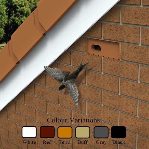 Swift nesting brick box rspb - swift,