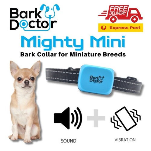 Bark doctor mighty miniature - doctor,