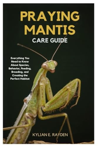 Praying mantis care guide - care,