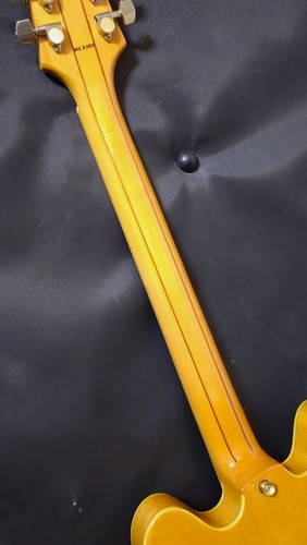Epiphone sheraton korea - epiphone, ii