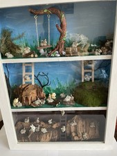 3 Tier Glass Fronted Rabbit