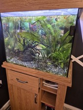 Aquarium Full Set Up Oakstyle