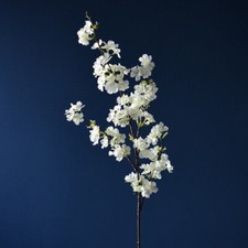 4-pronged Cherry Blossom