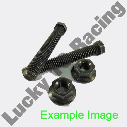Genuine chain adjusting - , bolt