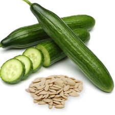 100 Cucumber Seeds Gardeners