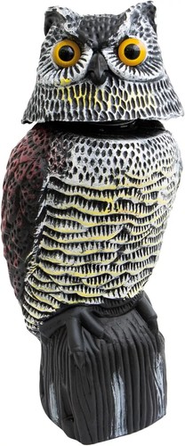 Life size decoy owl - life,