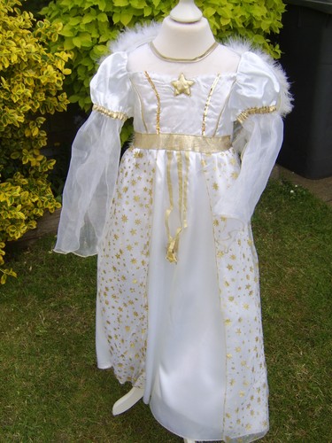 Christmas angel fairy - angel,